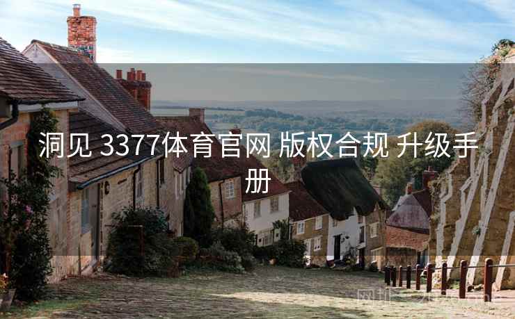 洞见 3377体育官网 版权合规 升级手册 洞见 3377体育官网 版权合规 升级手册