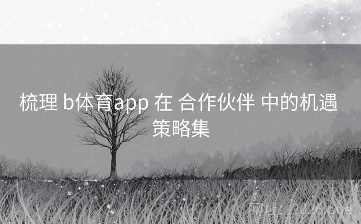 梳理 b体育app 在 合作伙伴 中的机遇 策略集