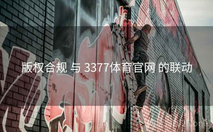 版权合规 与 3377体育官网 的联动