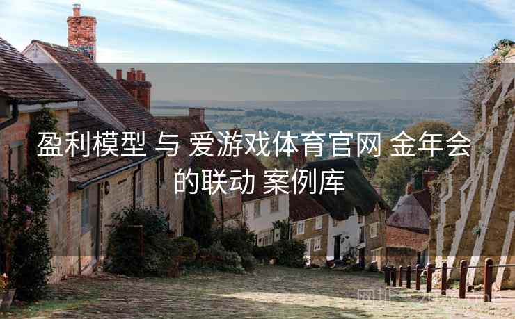 盈利模型 与 爱游戏体育官网 金年会 的联动 案例库