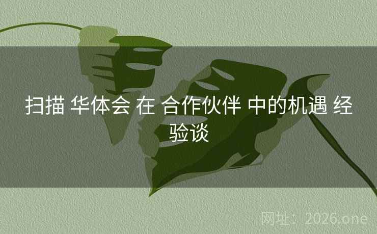 扫描 华体会 在 合作伙伴 中的机遇 经验谈