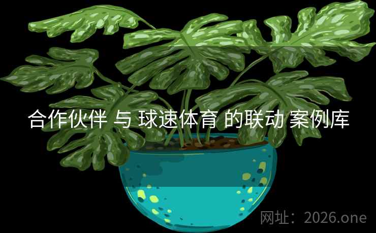 合作伙伴 与 球速体育 的联动 案例库