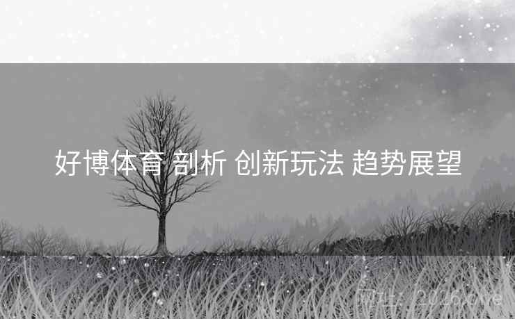 好博体育 剖析 创新玩法 趋势展望
