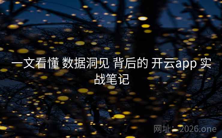 一文看懂 数据洞见 背后的 开云app 实战笔记