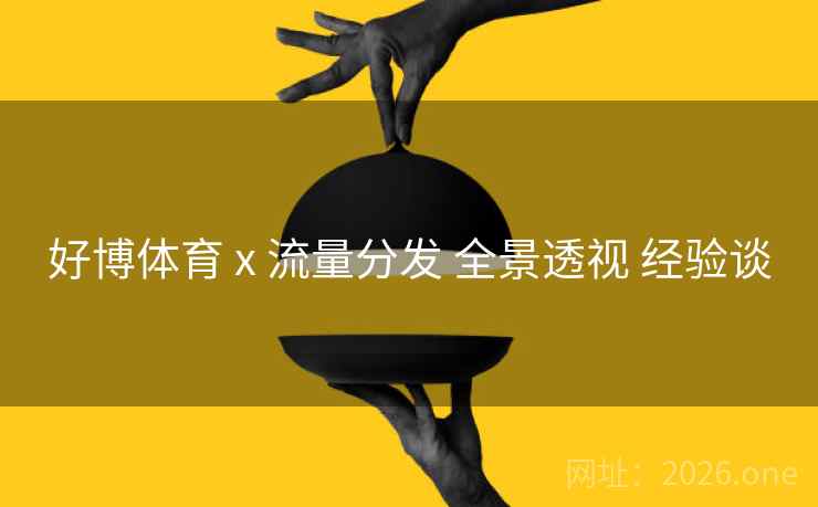 好博体育 x 流量分发 全景透视 经验谈