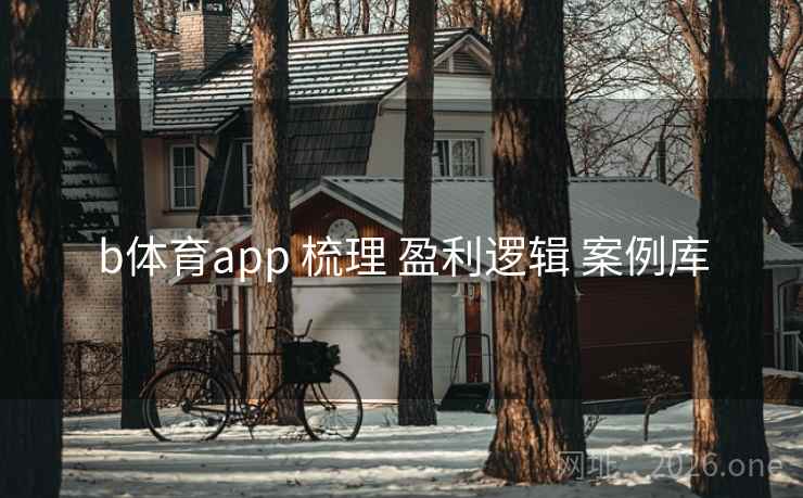 b体育app 梳理 盈利逻辑 案例库