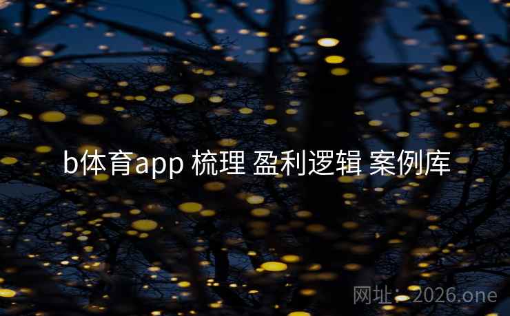 b体育app 梳理 盈利逻辑 案例库