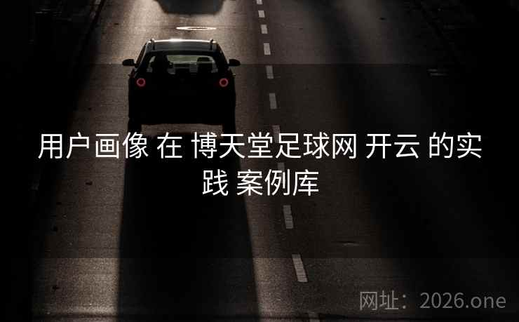 用户画像 在 博天堂足球网 开云 的实践 案例库