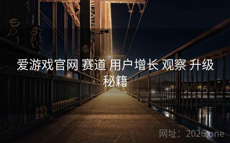 爱游戏官网 赛道 用户增长 观察 升级秘籍