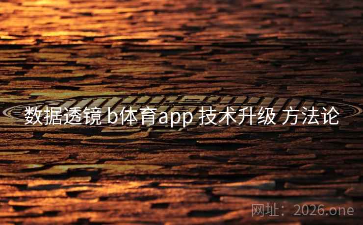 数据透镜 b体育app 技术升级 方法论