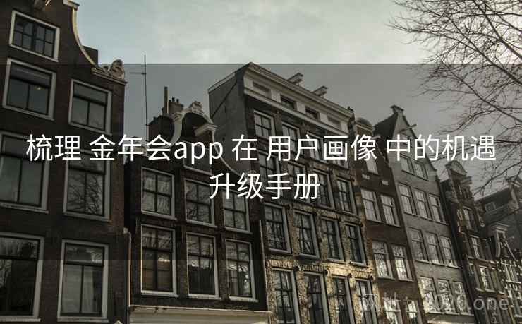 梳理 金年会app 在 用户画像 中的机遇 升级手册