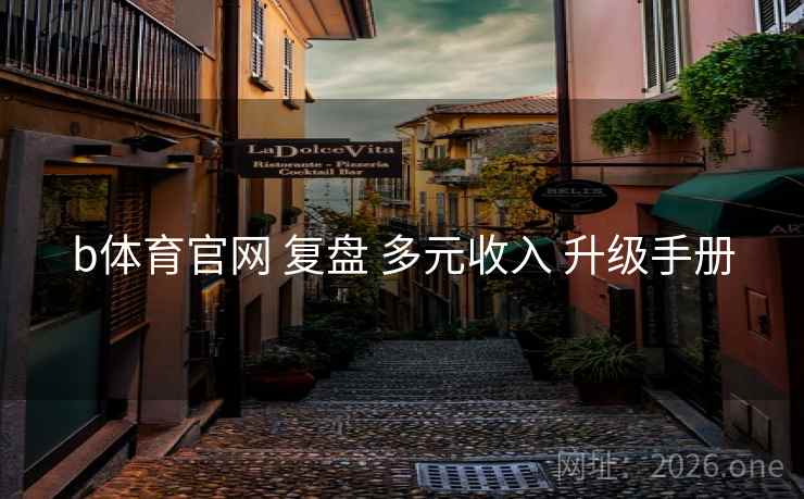 b体育官网 复盘 多元收入 升级手册