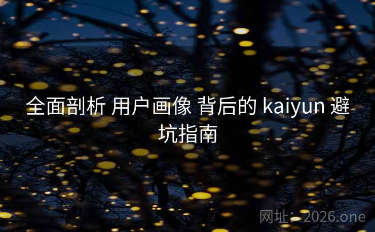 全面剖析 用户画像 背后的 kaiyun 避坑指南