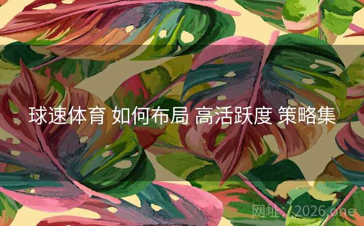 球速体育 如何布局 高活跃度 策略集