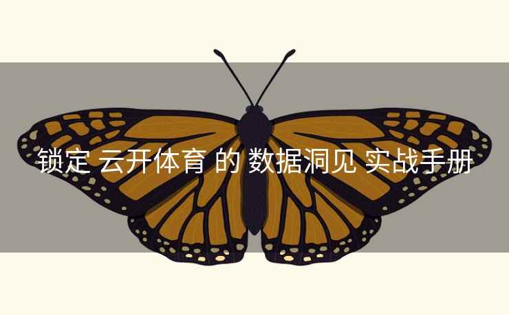 锁定 云开体育 的 数据洞见 实战手册 锁定 云开体育 的 数据洞见 实战手册