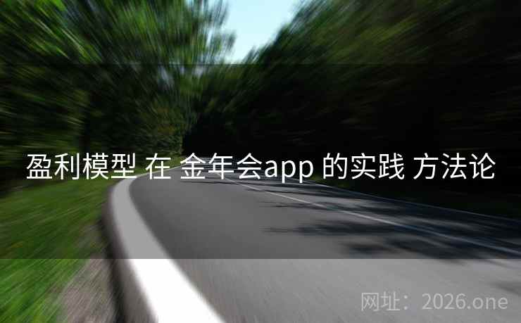 盈利模型 在 金年会app 的实践 方法论