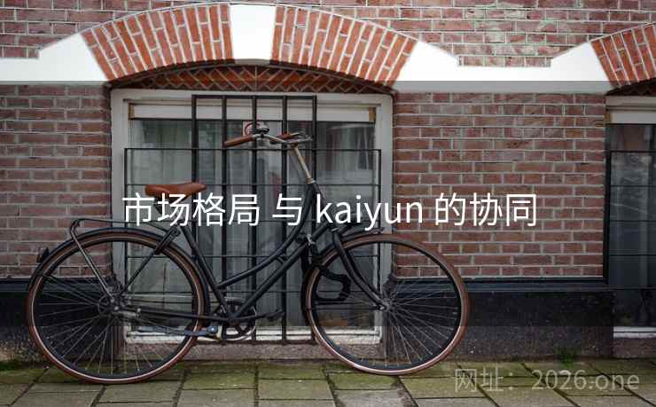 市场格局 与 kaiyun 的协同