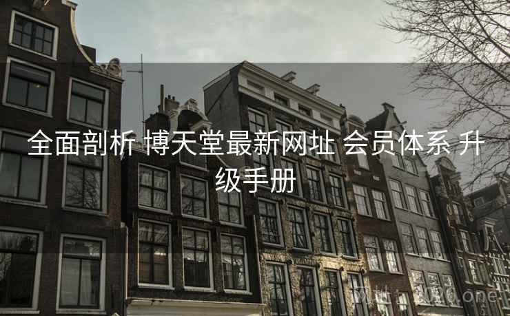 全面剖析 博天堂最新网址 会员体系 升级手册